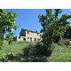 Properties for Sale_Il Casale Sotto Moresco in Le Marche_4